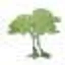 P Foley Tree Specialist logo