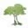 P Foley Tree Specialist logo