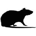 The Pest Technician Ltd. logo